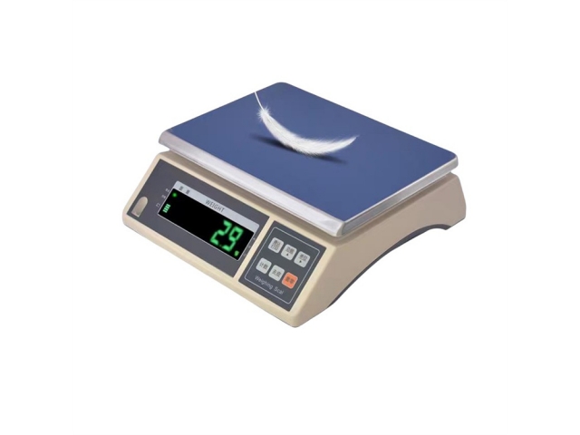 ACS-HC30 Weighing Scale